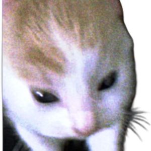 CATS on MARS type beat bpm133.9