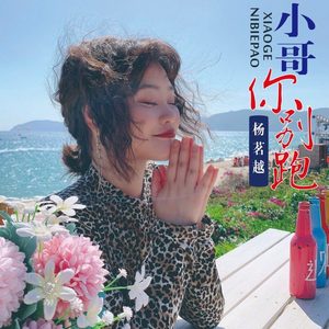 小哥你别跑 (DJ雨义博MIX)