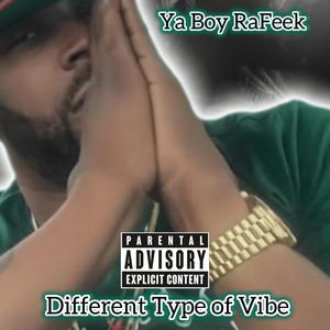 Different Type Of Vibe