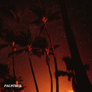 Palmtree