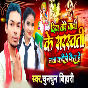 Dil Tore Wale Ke Sarsavati Mata Kariho Phail He