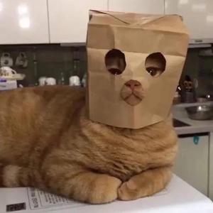 Every Body Dies In Their Nightmares