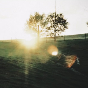 物是人非事事休