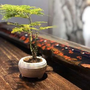 古琴五音疗愈 养心安神