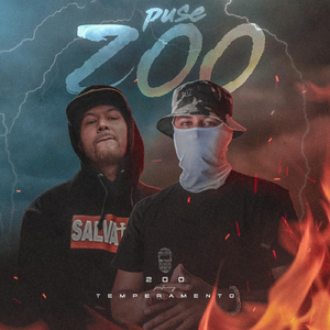 Puse 200 (feat. Temperamento)