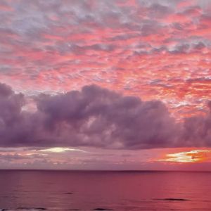 [FREE]"粉 红 色 夕 阳" R&B Pop