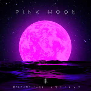 Pink Moon