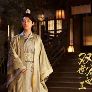 念郎【纯筝版】（翻自 徐深）