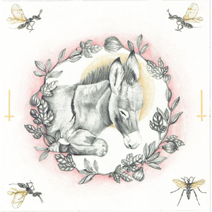 Chapter 5: Interlude 2