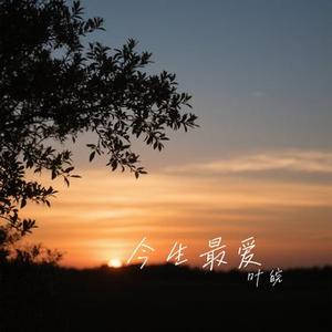 今生最爱 (Cover 洋澜一)