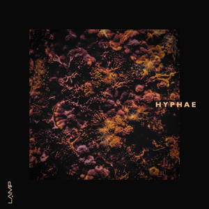 Verdant Flow (Original Mix)