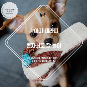 (강아지 테라피) 슈만 - 어린이정경 중 1번G장조 (바람부는 공원을 산책하며)