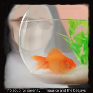 Cupboard Under the Stairs