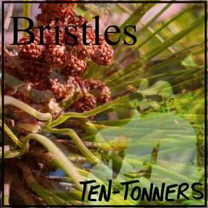 Bristles