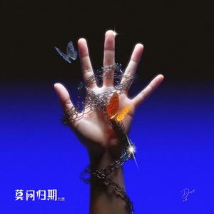 莫问归期 (DJ版)