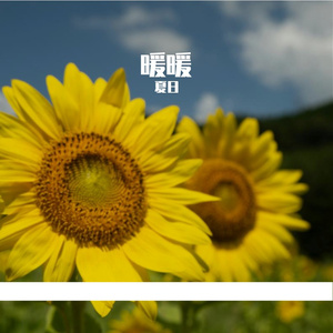 暖暖