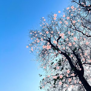 陈文非-春(月光缠绵躲在心里面)（7Azz remix）