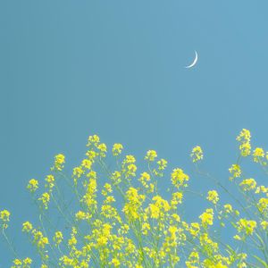 五月的夏天