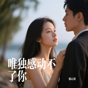 唯独感动不了你