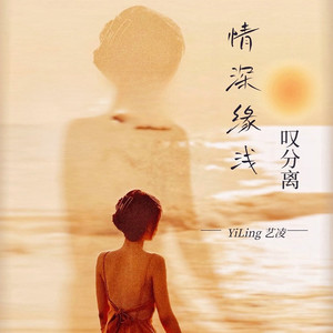 情深缘浅叹分离 (DJ阿能版)