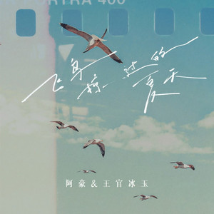 飞鸟掠过的夏天 (伴奏)