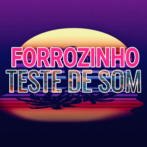 FORROZINHO - TESTE DE SOM 3