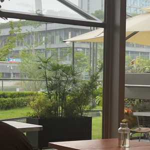 《雨停心未停》