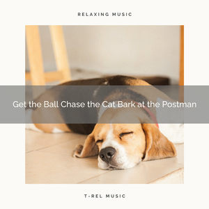 Sweet Waves for Puppies Sleeping Alone