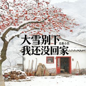 大雪别下我还没回家
