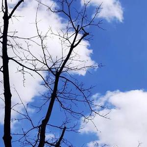 双眼无故地仰望