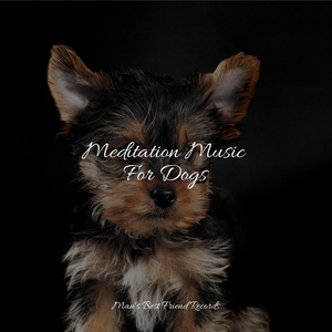 Meditating Music