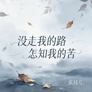 没走我的路怎知我的苦