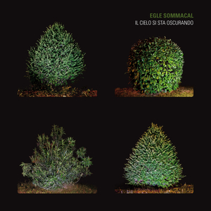 Nuvole Sopra La Bolognina