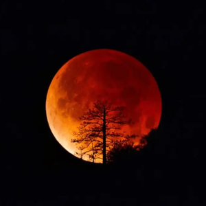 红月1945（Prod by Sanche Beats）