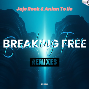 Breaking Free (Techno Remix)
