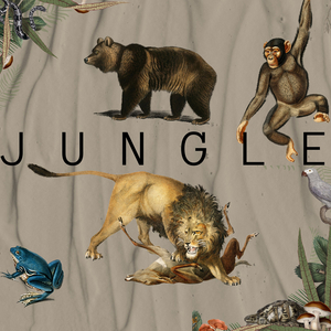 Jungle