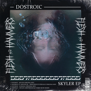 Principles Of Struggle