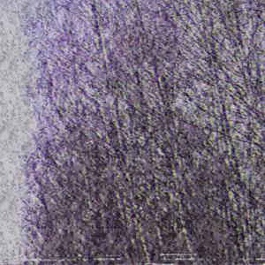 czemu dla mnie to piękne?