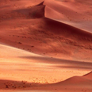 Segunda sessão: Rute 2, 8-13