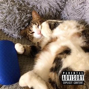 Trop noir (feat. Lanel)