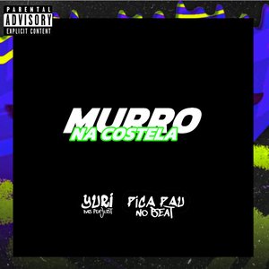 Murro na Costela (feat. MC BIEL SJ & DJ Gaby Soares)