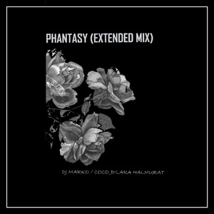 phantasy （Extended Mix）
