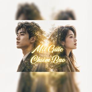 Một Giấc Chiêm Bao (Remix)