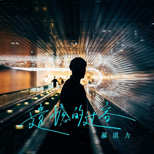 遗憾的过客 (DJ版)