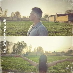 阳光洒落在贫瘠的土地