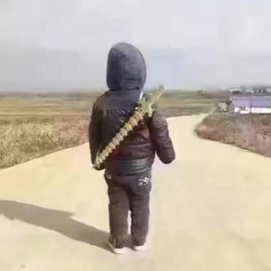 小人行径