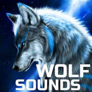 Wolf Nature Sounds