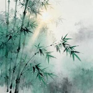 竹窗月