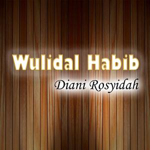 Wulidal Habib (live)