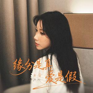 缘分是真爱是假